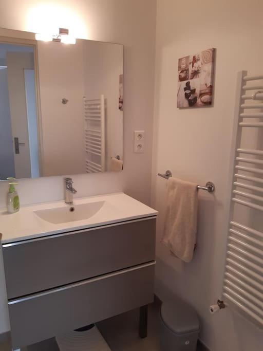 Logement Calme Et Authentique A エスプレット エクステリア 写真