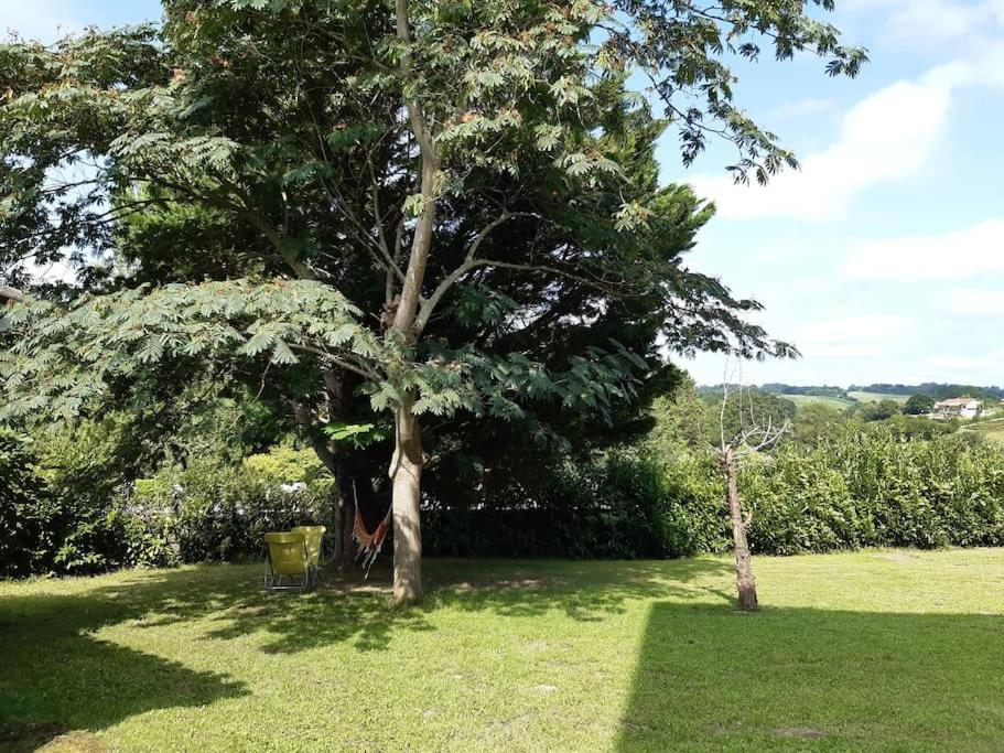 Logement Calme Et Authentique A エスプレット エクステリア 写真